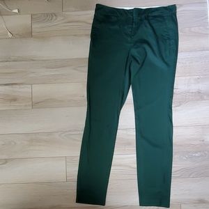 The Veritas Solid Forest Green Dress Pants